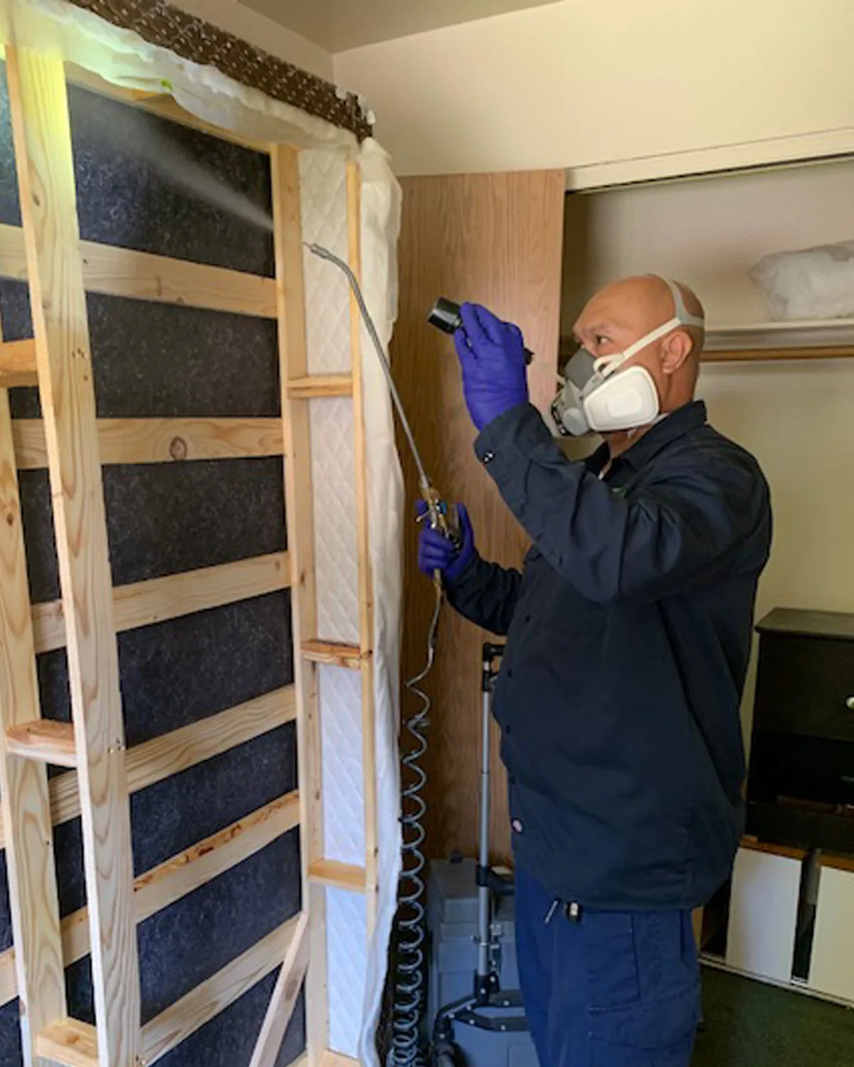 Bed bug detected on a Las Vegas mattress seam during inspection