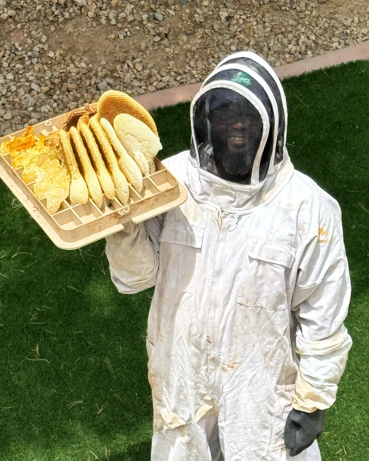 PCSI technician performing safe bee swarm removal in Las Vegas