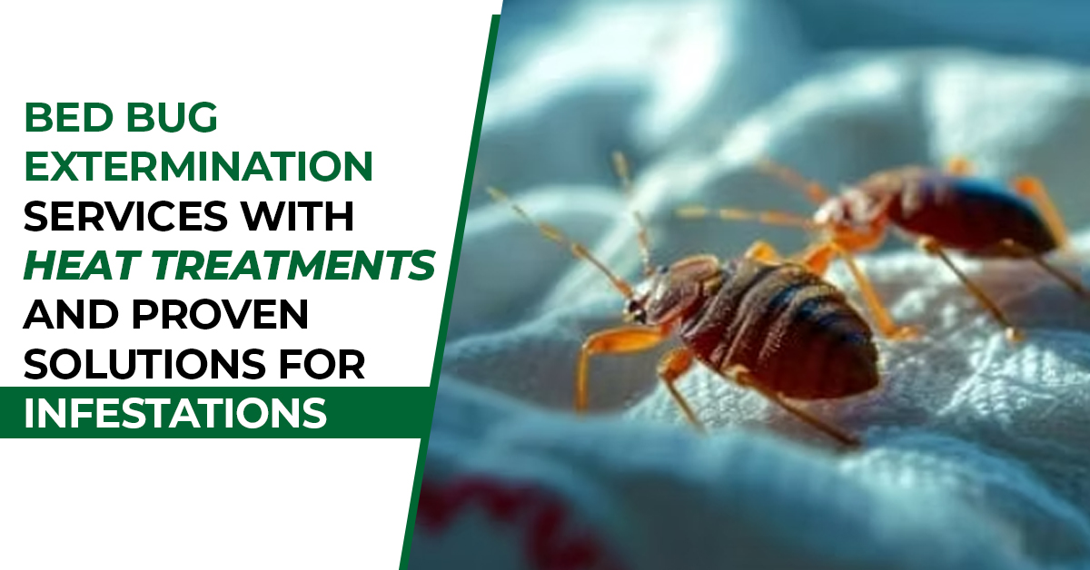 The Most Effective Way To Handle Bed Bugs In Your Las Vegas Home